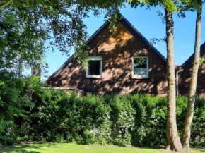 Ferienhaus Levenslüst